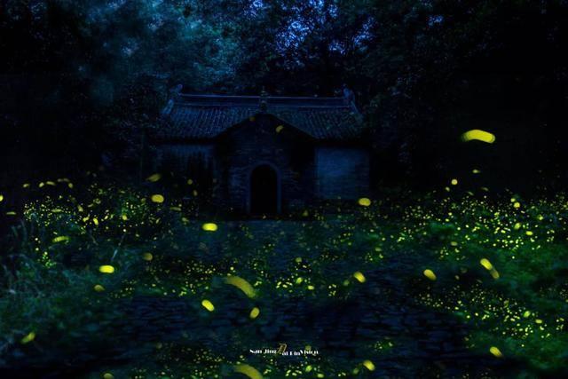 虫虫助手下载
